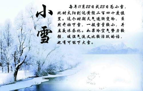 2017年11月22日文山福万家的云南文山三七价格