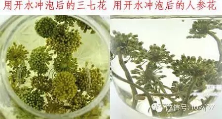 用水冲的区别