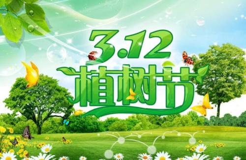 2018年3月12日文山福万家的云南文山三七价格