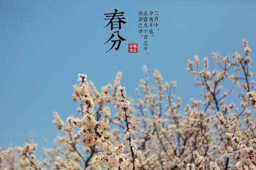 2018年3月21日文山福万家的云南文山三七价格