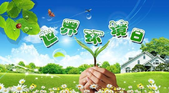 2018年6月5日文山福万家的云南文山三七价格