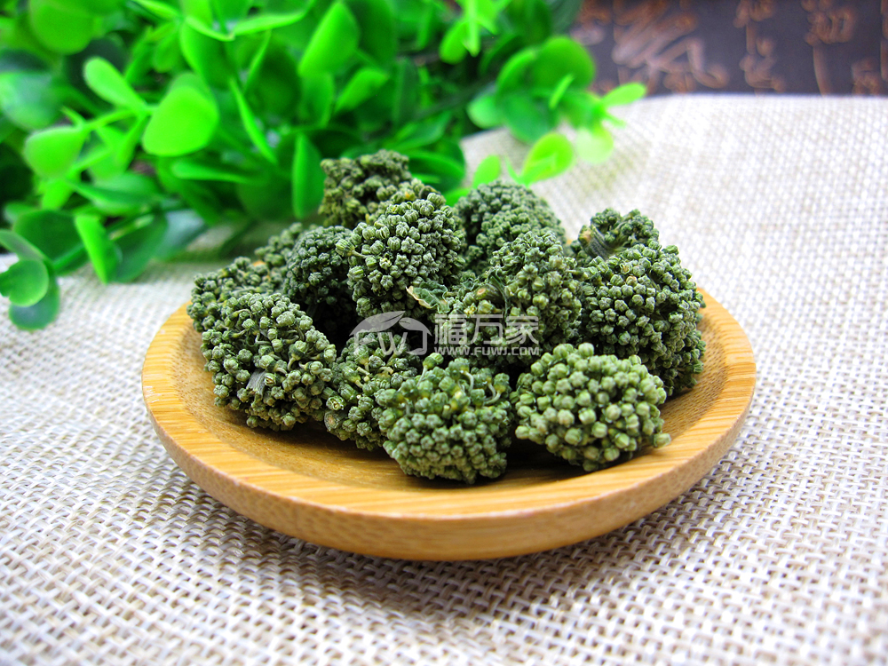 三七花的植物形态与功效作用介绍！你不知道的还很多！