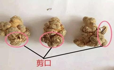 三七剪口不好