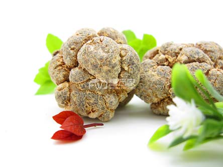 三七哪里产的最好