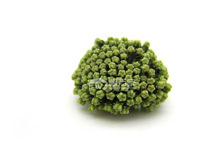 三七花茶能长期喝吗