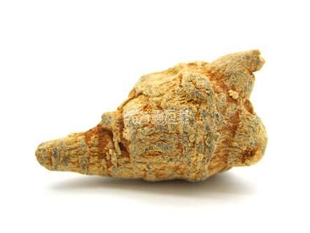 三七多少头的好