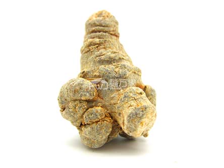 大个头三七