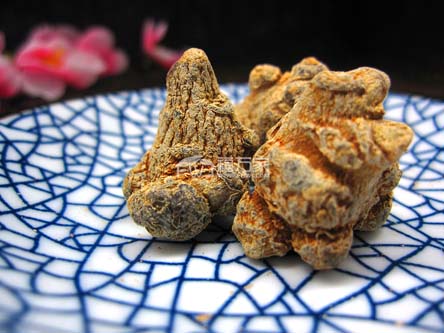 三七可以泡酒？指定用什么酒吗？
