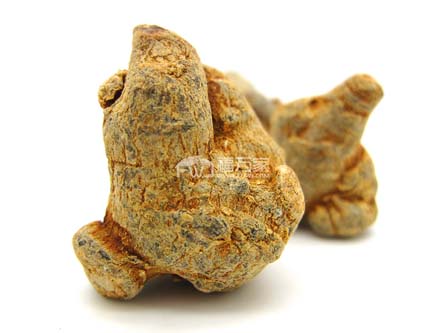 三七哪些单位在种植