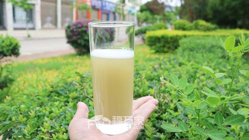 羊奶、牛奶、酸奶…能和三七粉一起喝？