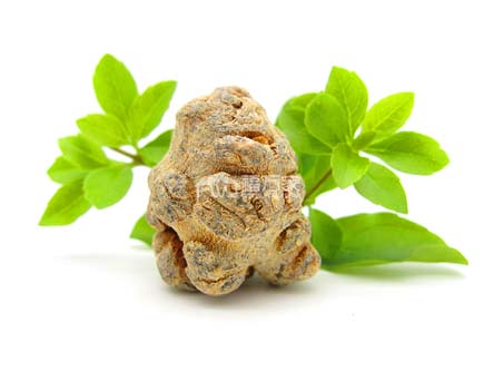 三七卖多少一斤