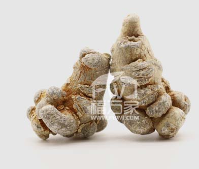 萝卜三七更好吗