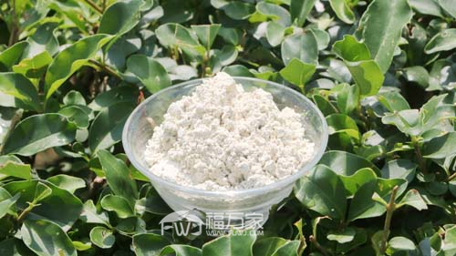 三七粉对普通人有用吗？