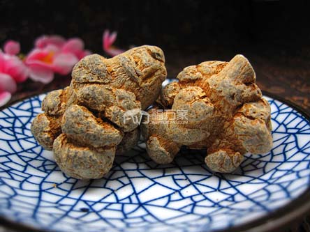 三七供应充足是否意味着种植容易？