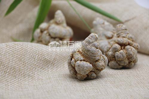 三七种子价格贵不贵？