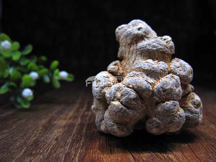 种植三七的土壤问题