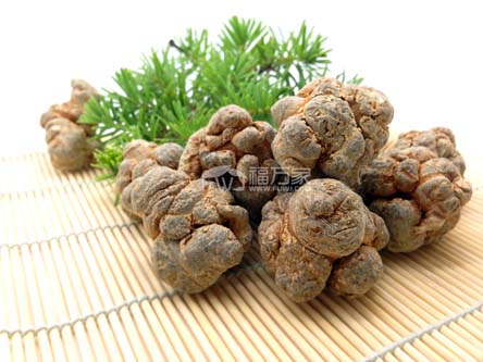 好三七哪里有