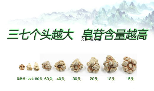 几个头的三七好