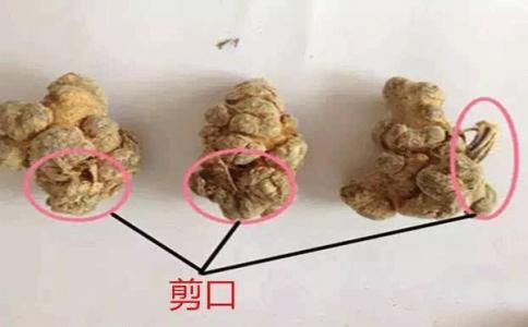 哪种三七好