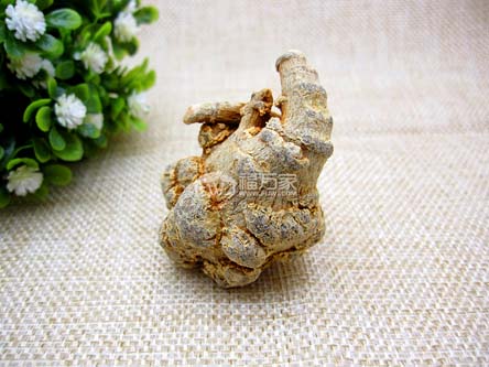 好的15头三七